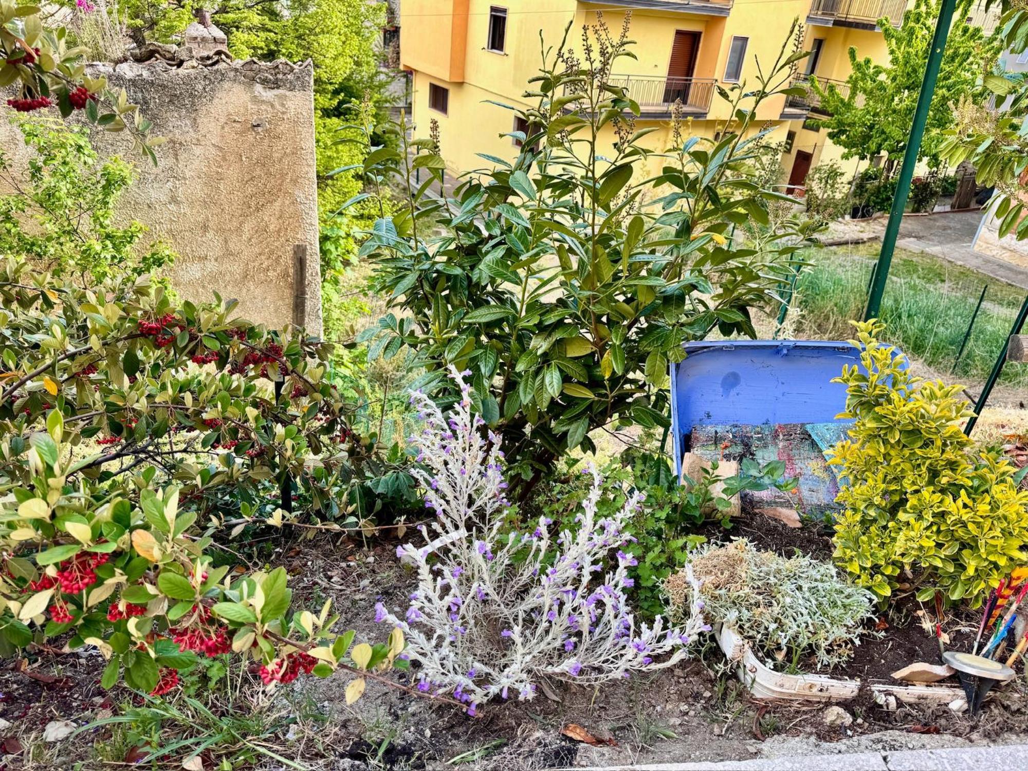 La Casa Dell'Artista Di Vittorio Vertone Pietragalla Exterior foto